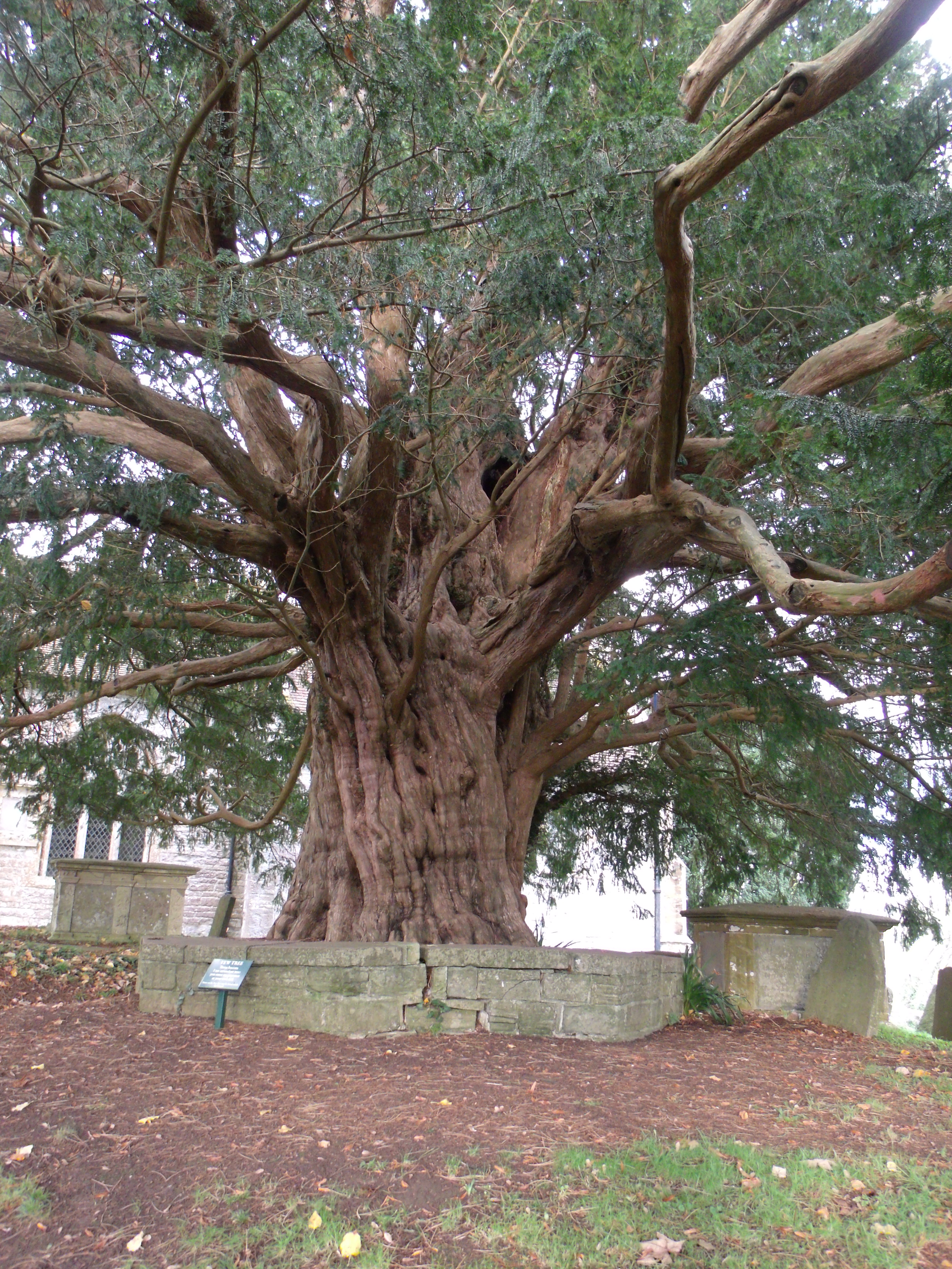 GEDSC DIGITAL CAMERA