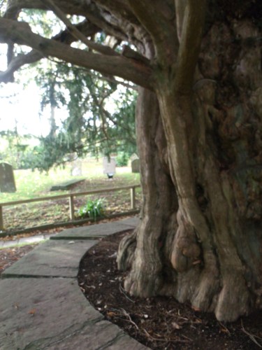 GEDSC DIGITAL CAMERA