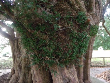 GEDSC DIGITAL CAMERA